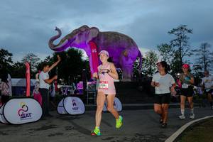 BIB: 
                            <button type="button" onclick="openModal(26529632)" class="btn btn-primary btn-sm float-right btn-popup" data-toggle="modal" data-target=".modal-high-quality">
                        <i class="fas fa-shopping-cart"></i> Add to Cart
                    </button>
                                            <button type="button" onclick="isThisMe(26529632, true)" class="btn btn-success btn-sm float-right btn-popup btn-isme hidden" data-toggle="tooltip" data-placement="bottom" title="นี่คือรูปของคุณใช่ไหม คลิกที่นี่เพื่อเอาเข้าอัลบั้ม">
                        <i class="fas fa-plus"></i> Add to album
                    </button>
                    <button type="button" onclick="isThisMe(26529632, false)" class="btn btn-warning btn-sm float-right btn-popup btn-isnotme hidden">
                        <i class="fas fa-ban"></i> Remove from album
                    </button>